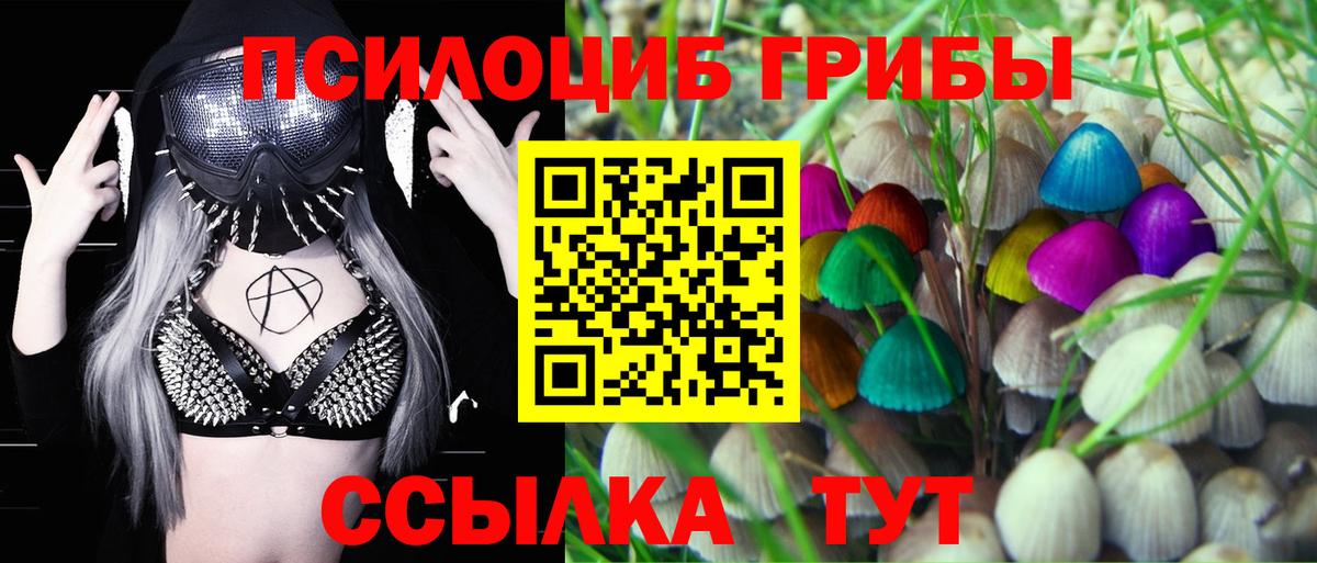 где можно купить   Галлюциногенные грибы MAGIC MUSHROOMS  Вход с VPN  Верхняя Пышма 